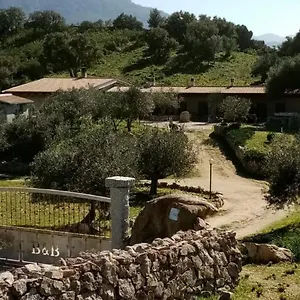 Sa Mendula Couette-café Oliena